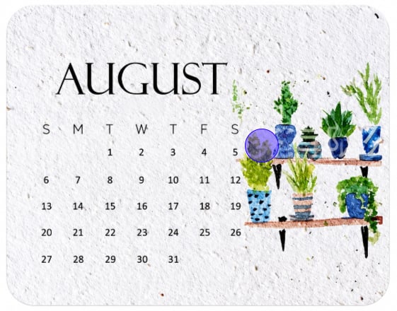 ✨⏳Only $12.99 Last Day Promotion🌱Eco-Friendly Plantable ''Timeless'' Seed Calendar 2027