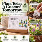 ✨⏳Only $12.99 Last Day Promotion🌱Eco-Friendly Plantable ''Timeless'' Seed Calendar 2027