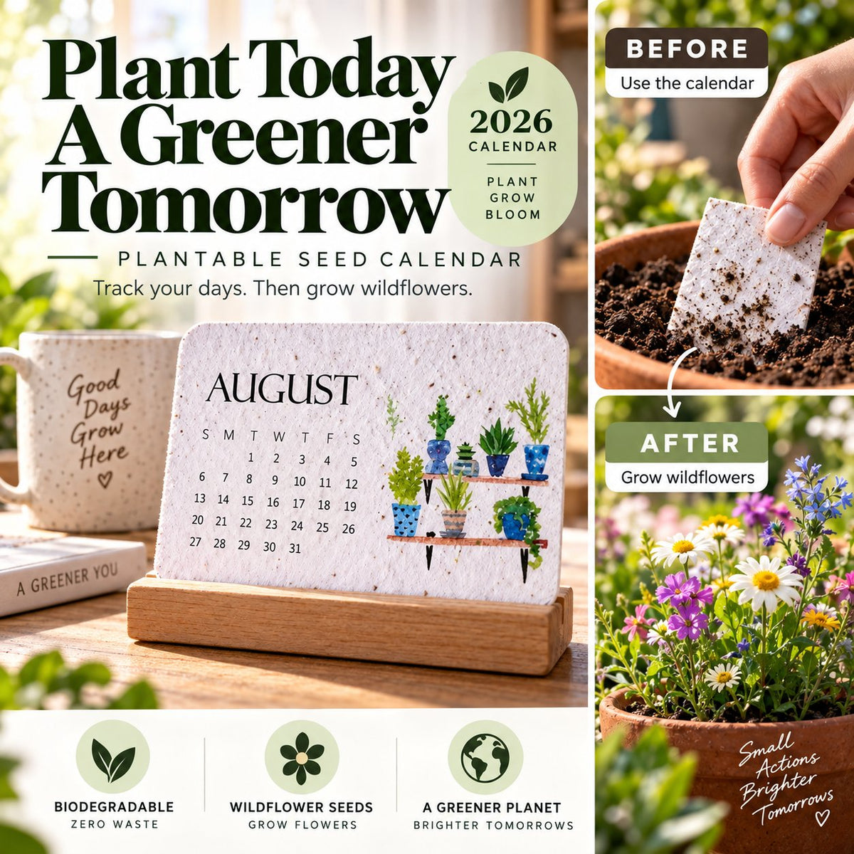 ✨⏳Only $12.99 Last Day Promotion🌱Eco-Friendly Plantable ''Timeless'' Seed Calendar 2027