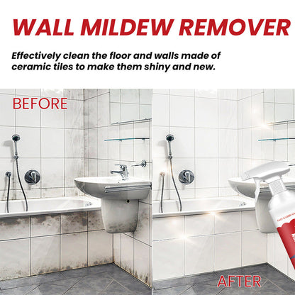 Powerful & Long-Lasting Wall Mold Remover