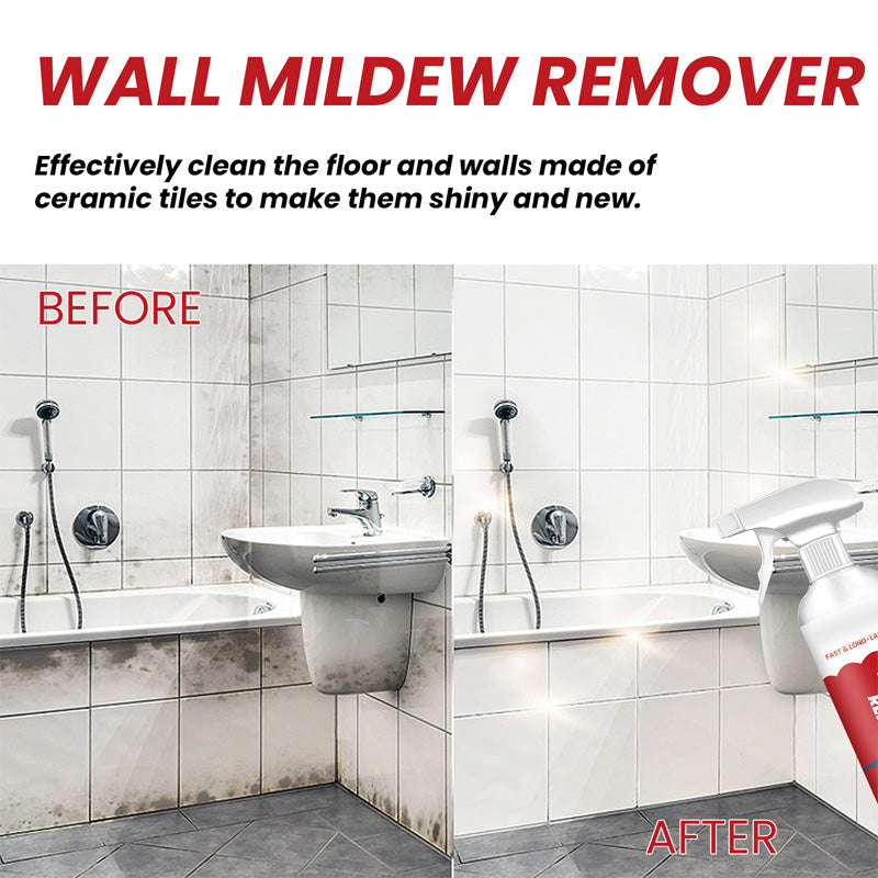 Powerful & Long-Lasting Wall Mold Remover