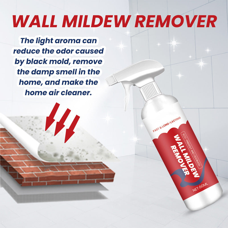 Powerful & Long-Lasting Wall Mold Remover
