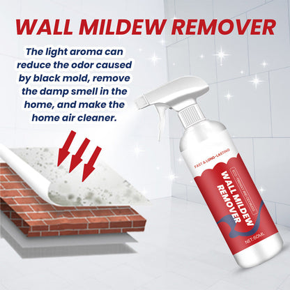 Powerful & Long-Lasting Wall Mold Remover