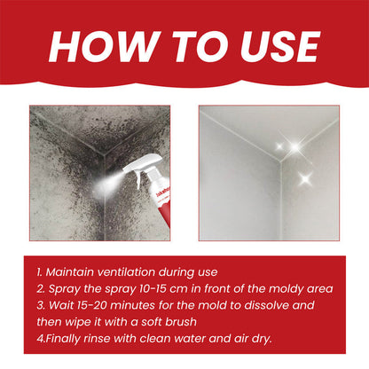 Powerful & Long-Lasting Wall Mold Remover